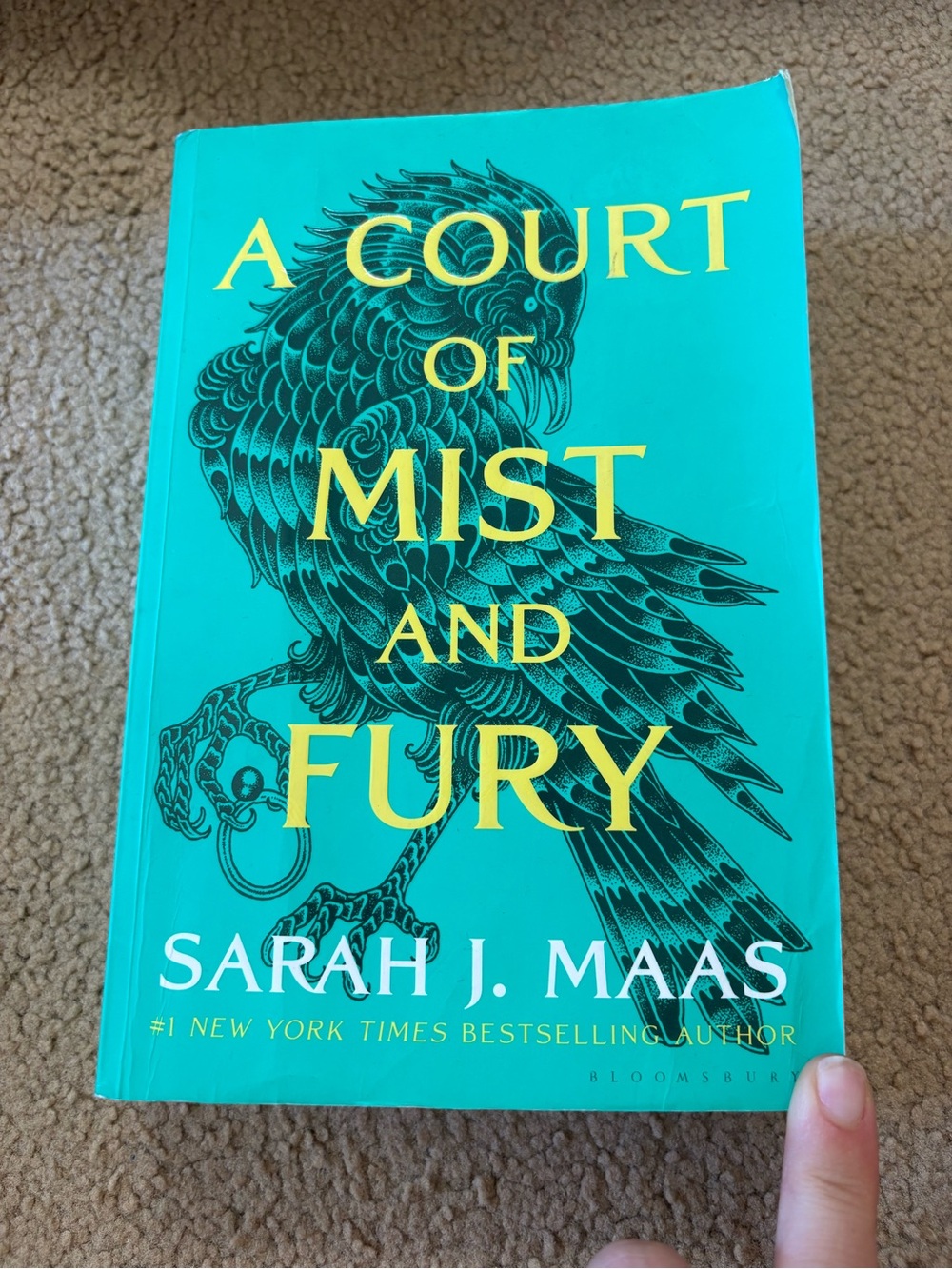 A Court of Mist and Fury - Teal Cover